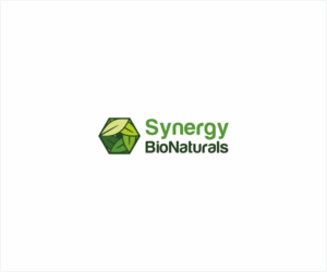 Synergy BioNaturals  | Logo Design by Logocraft