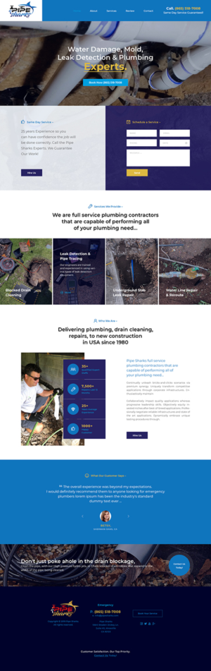 Web-Design von Ved Web Services für Pipe Sharks LLC | Design #20950137