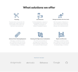 Web Design par Hammad mir pour Pipe Sharks LLC | Design : #20975702