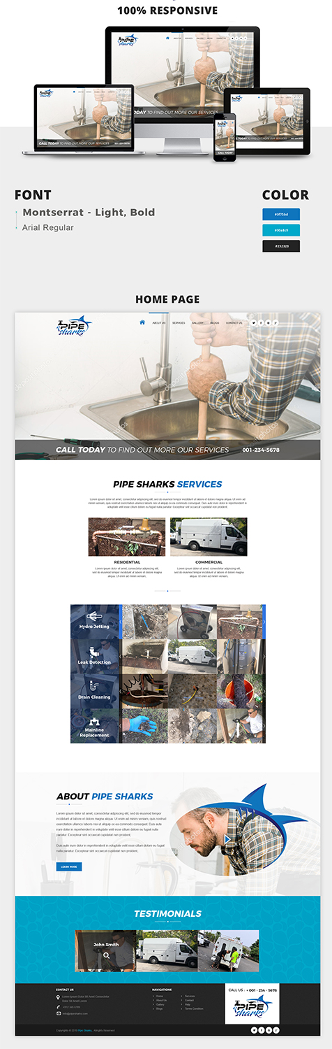 Web Design by PiXthemes for Pipe Sharks LLC | Design #20971539