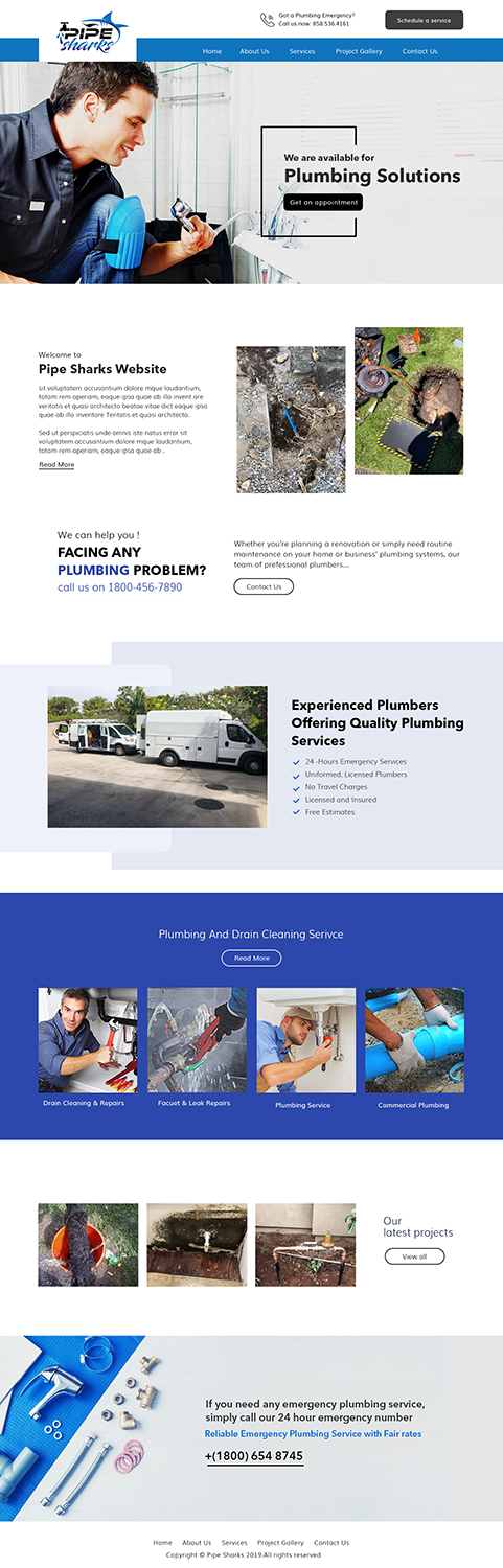 Web Design by subhalaxmi  khamari for Pipe Sharks LLC | Design #20939108