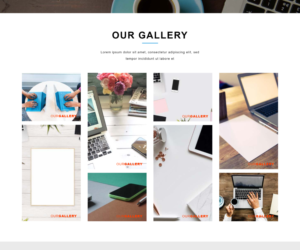 Web Design par naimurrashid pour Corse Concept | Design : #20952660