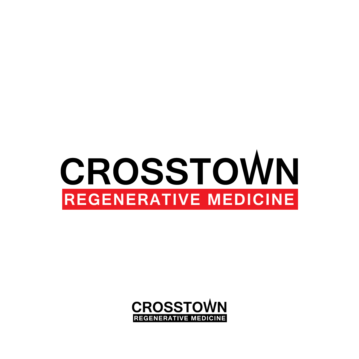 Logo Design by Adriyan darusman for this project | Design #20983296