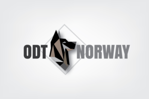 Logo Design by n574