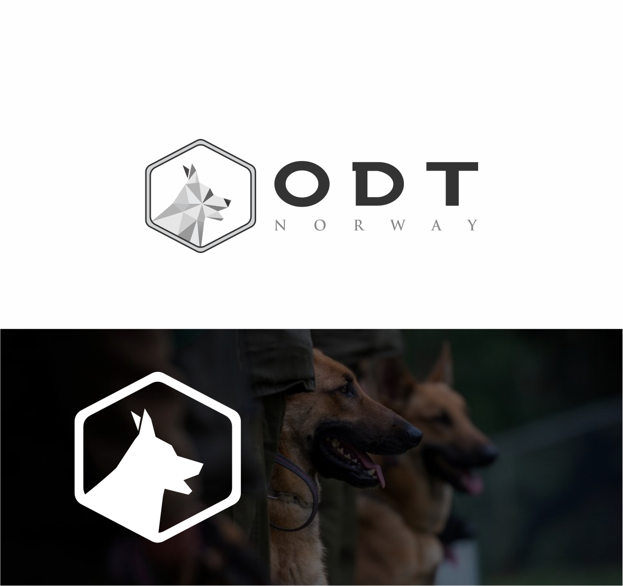 Logo Design by awa_pranata for this project | Design #20993291