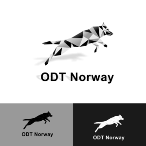 Logo Design by Akhsan 2