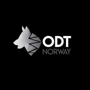 Logo Design by Bledea Andrei