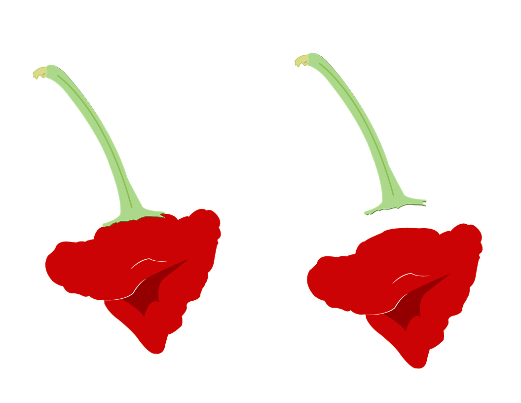 Graphic Design by TGDesigns for this project | Design #20978790