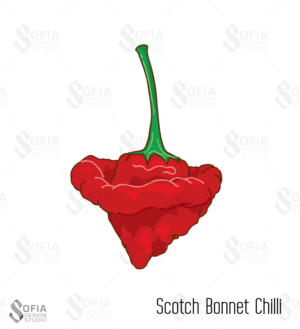 Pumpkin & Scotch Bonnet Chilli vector design for food label | Grafik-Design von SofiaDesignStudio