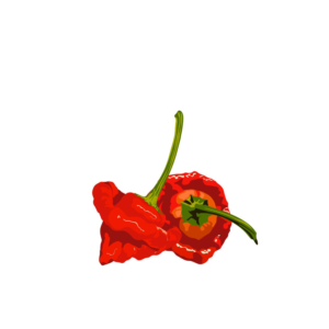 Diseño Gráfico por fidan_nabiyeva-jw para este proyecto | Diseño: #20977686