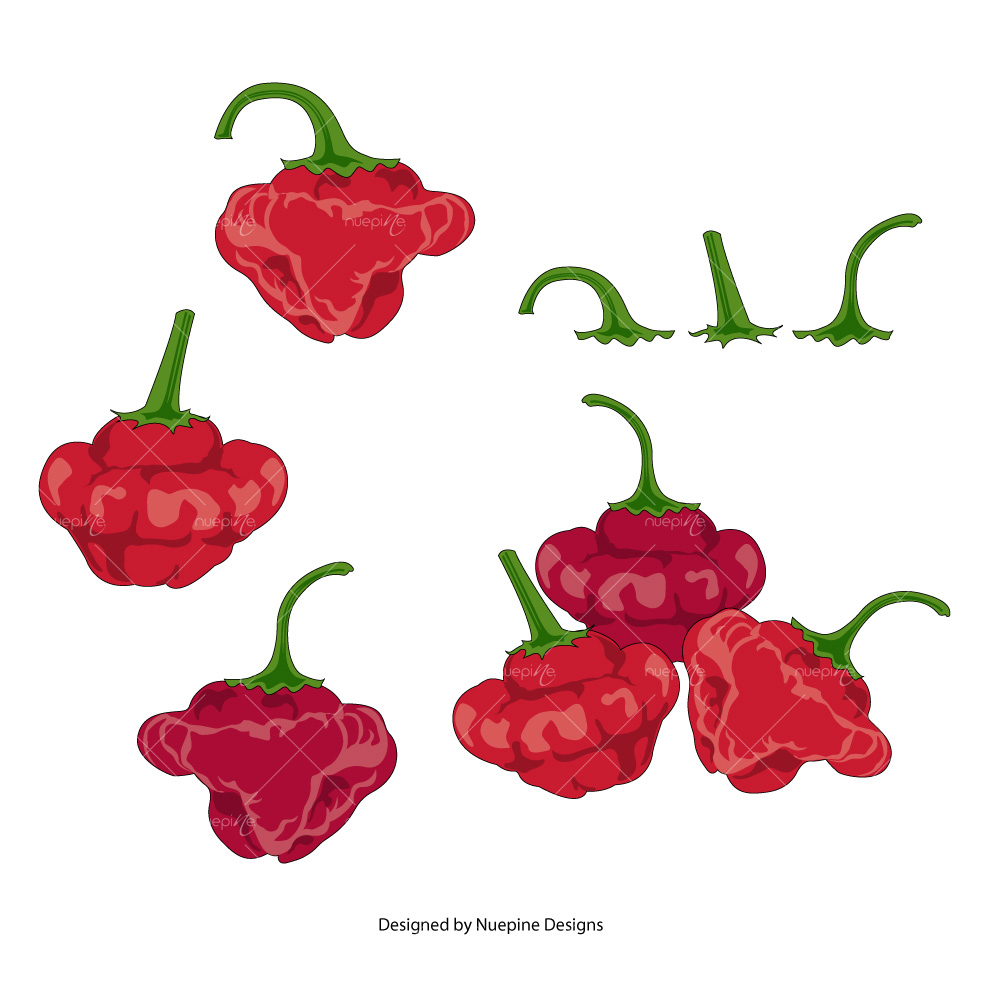 Graphic Design by Nuepine Designs for this project | Design #21020324