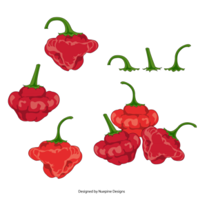 Pumpkin & Scotch Bonnet Chilli vector design for food label | Design Graphique par Nuepine Designs