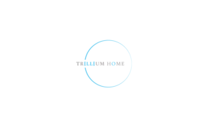 Logo Design by Marvel for Quantum Point Strategies | Design: #20967423