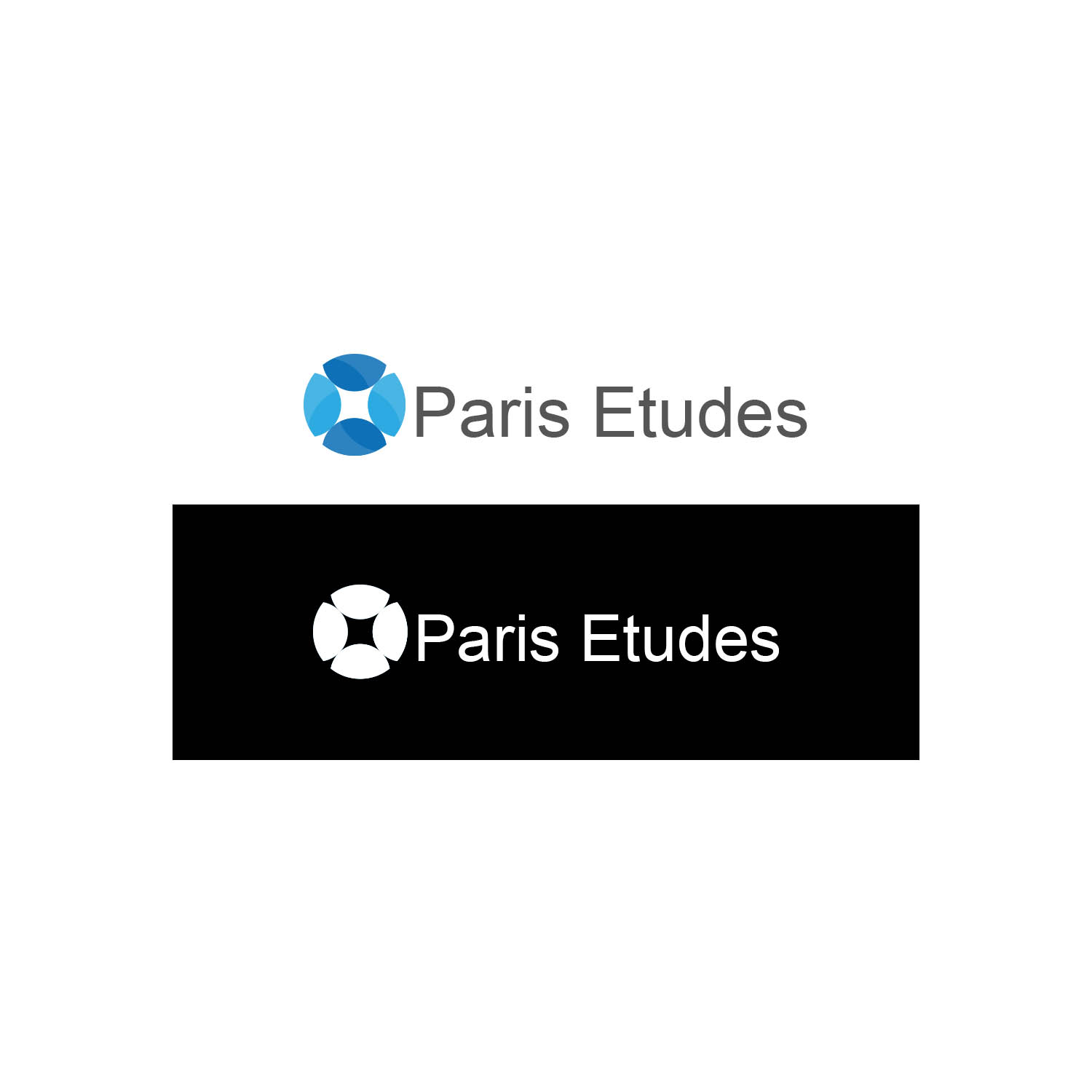 Logo Design by Finley Johnson for Paris Etudes | Design #20988392