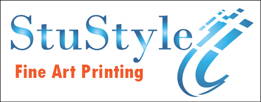 Logo Design by CreativePassion for StuStyle | Design #2925192