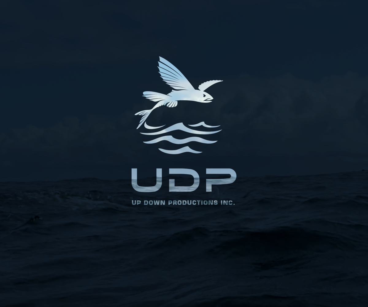 Logo Design by alexander.sanchenko for this project | Design #21022768