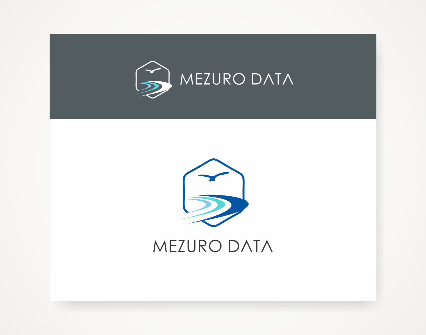Logo Design by Savana for Mezuro Data | Design #20986602