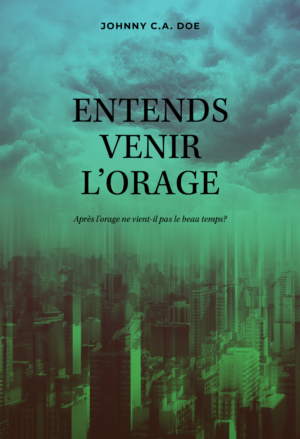 Book Cover Design by artanisel for this project | Design: #21027910