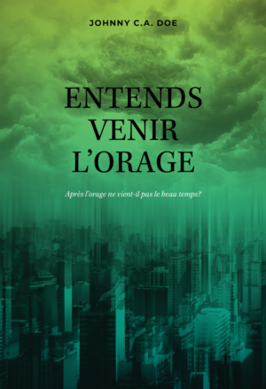 Book Cover Design by artanisel for this project | Design: #21027911