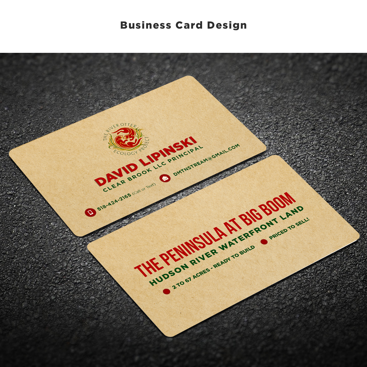 Business Card Design by Expert Designer for this project | Design #20985230
