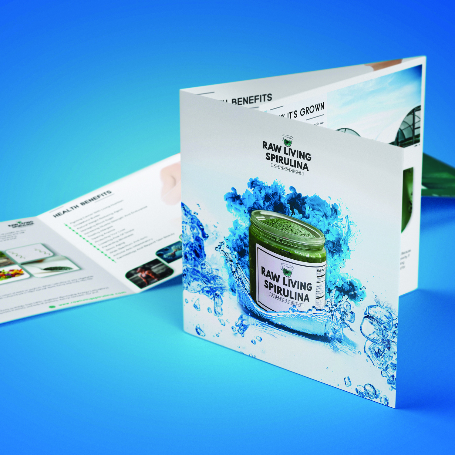 Flyer Design by CG PRITAM for Raw Living Spirulina | Design #21034385