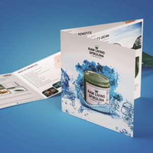 Design de Flyer par Offbeat Visuals pour Raw Living Spirulina | Design #21034385