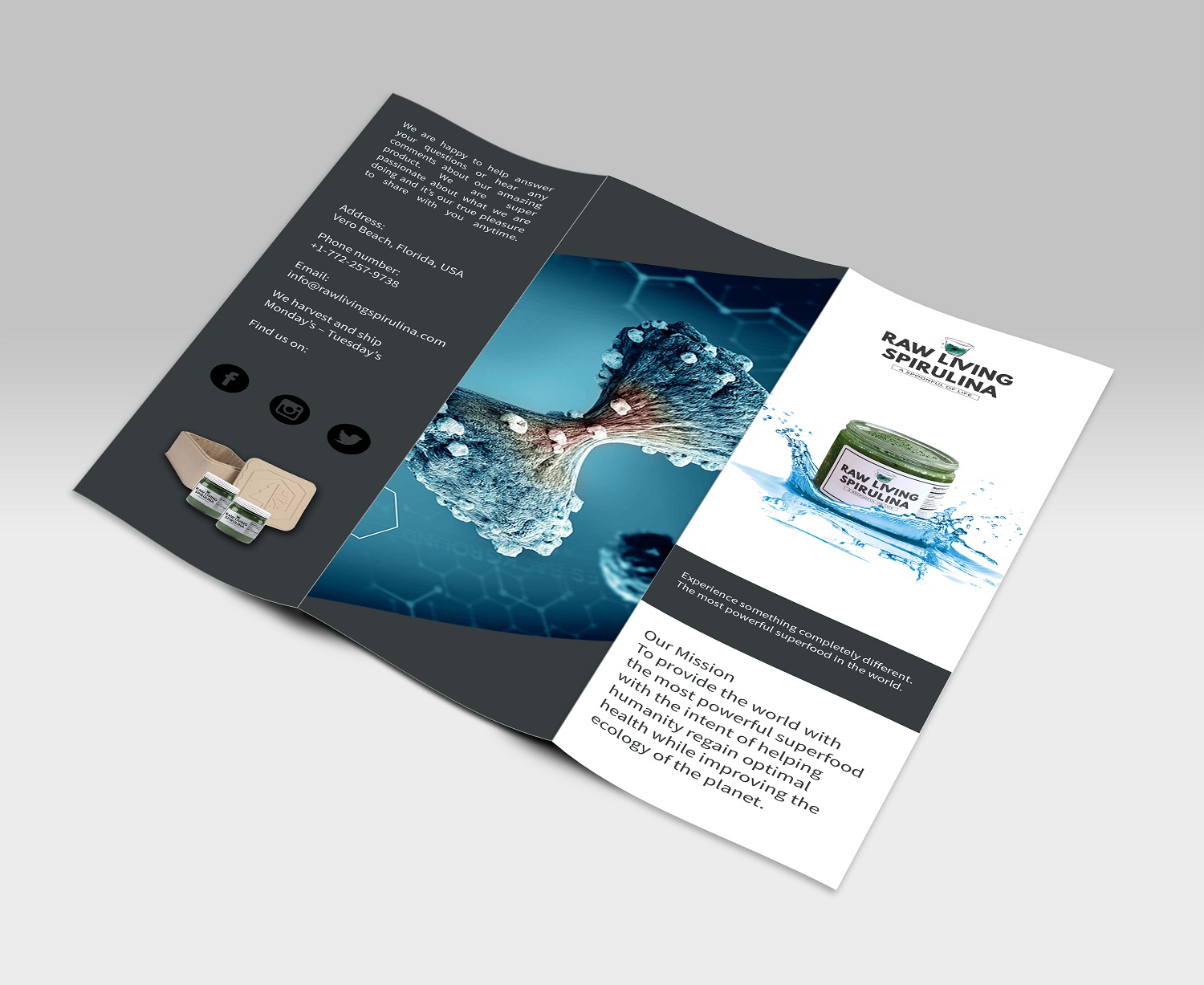 Flyer Design by dbyjuhfl for Raw Living Spirulina | Design #21022013