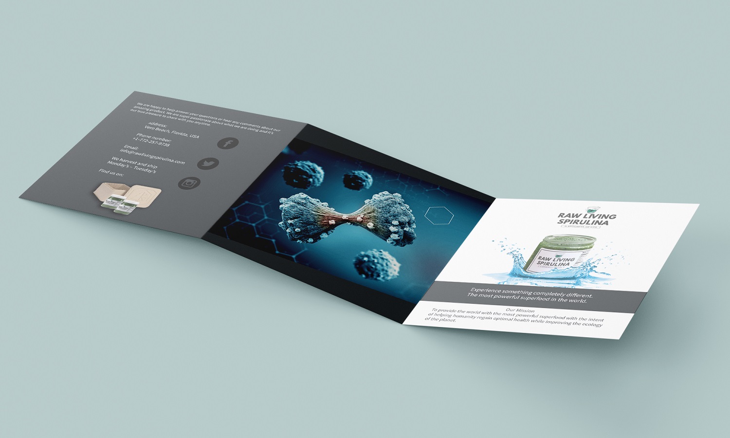Diseño de Flyer por dbyjuhfl para Raw Living Spirulina | Diseño #21025964