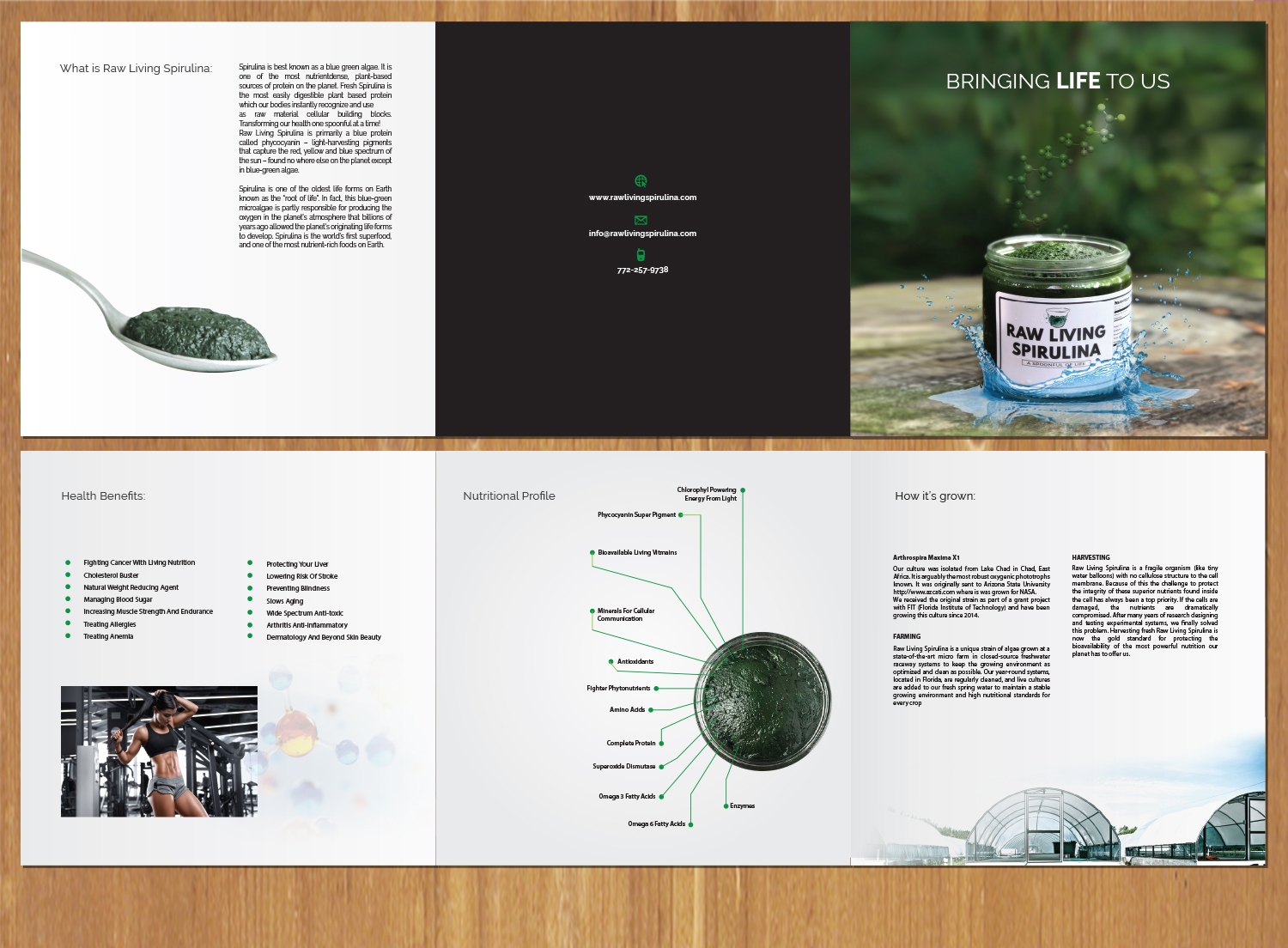 Design de Flyer par MNM pour Raw Living Spirulina | Design #21004417