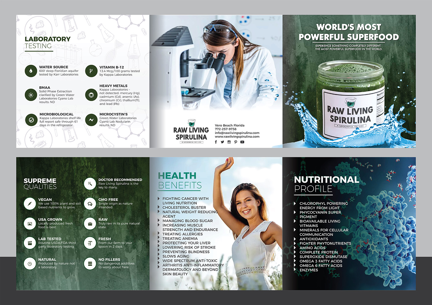 Diseño de Flyer por Deziners Zone para Raw Living Spirulina | Diseño #21002154