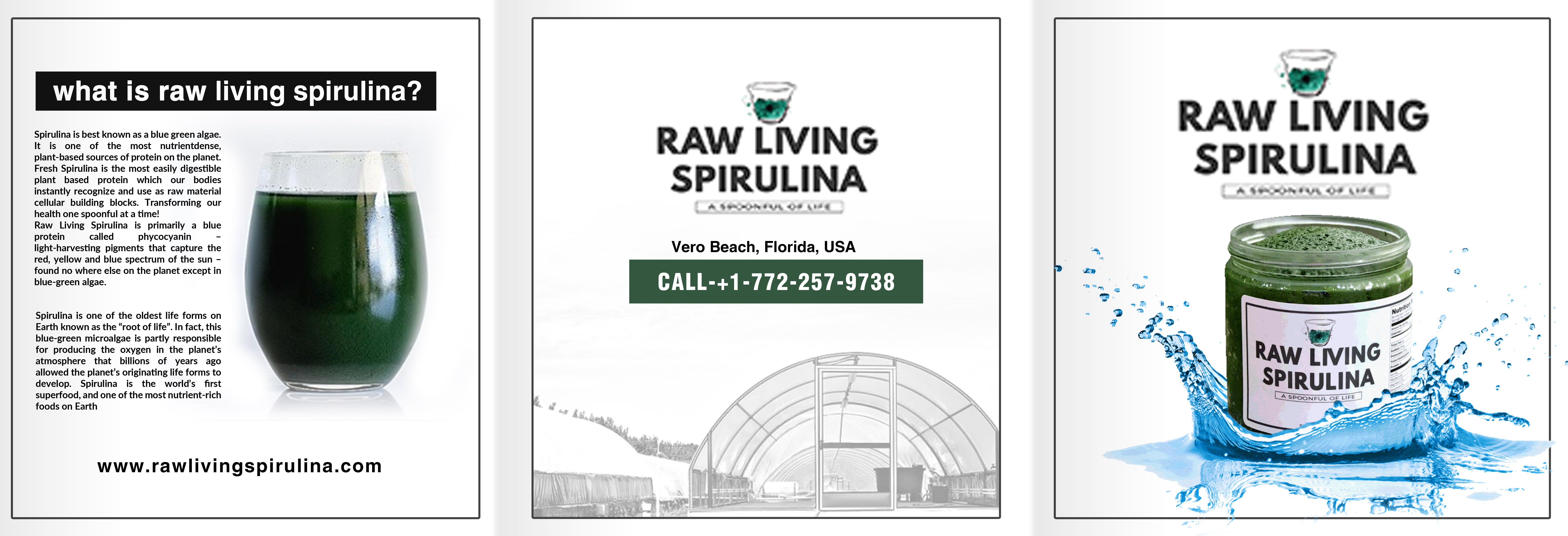 Diseño de Flyer por LAXMI DESIGNHUB para Raw Living Spirulina | Diseño #21021880