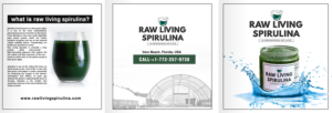Design de Flyer par Pictorial pour Raw Living Spirulina | Design #21021880