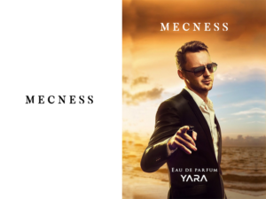 Mecness | Logo Design by JohnM.