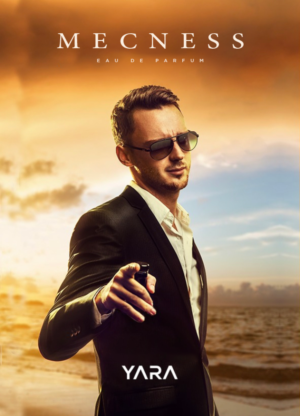 Mecness | Logo Design by Magnolia S