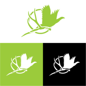 Logo Design by maes3o