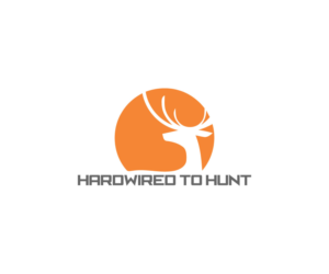 Logo Design by CareDesign