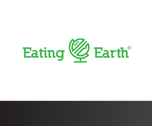Logo Design by BigBro Graphics