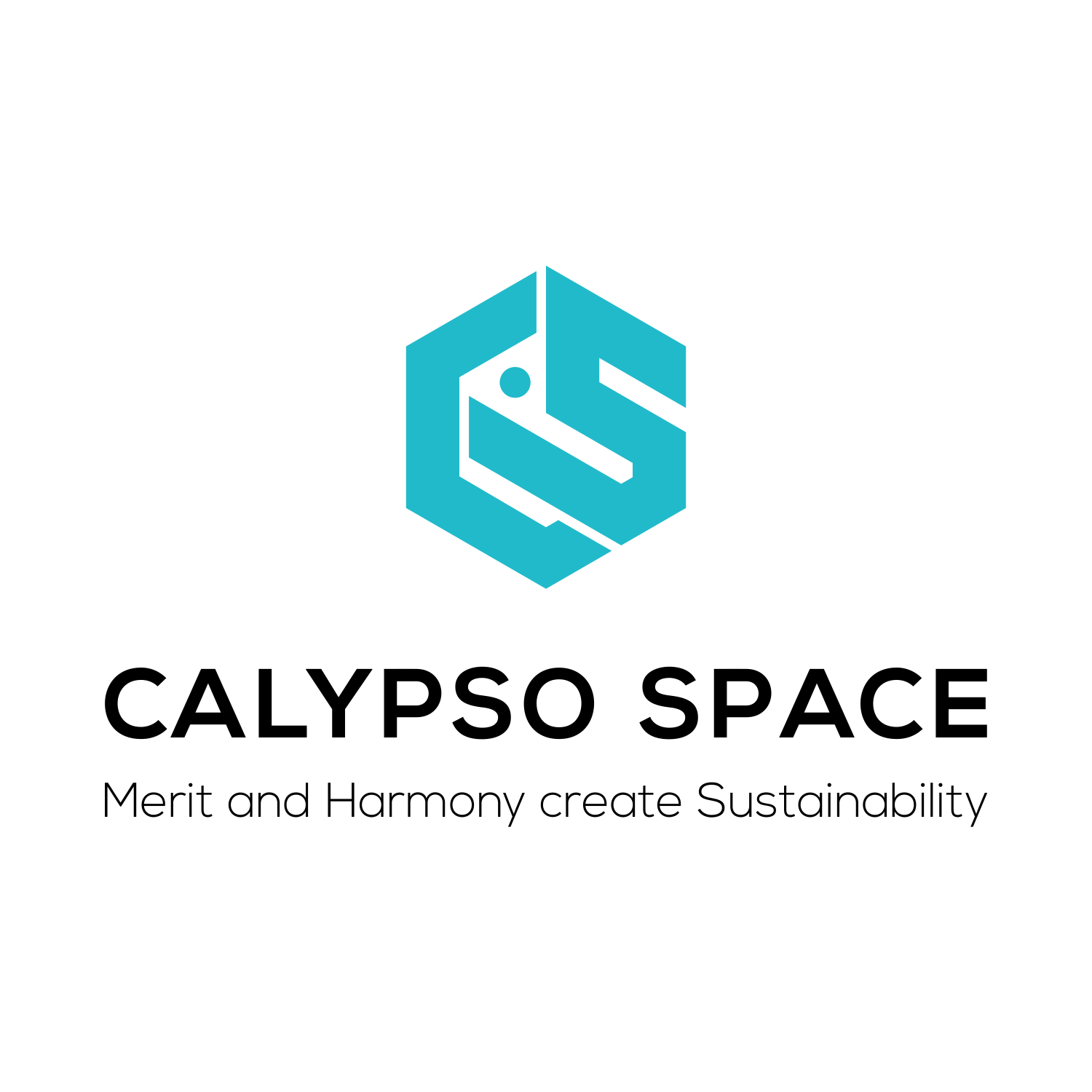 Logo Design by QILLASOFT-Design for Calypso Space SL | Design #20989215