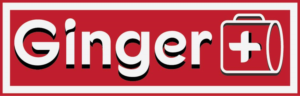Logo Design by shades