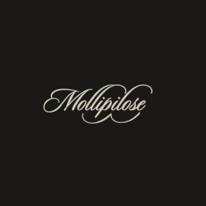 Logo Design by MACAN ART 3