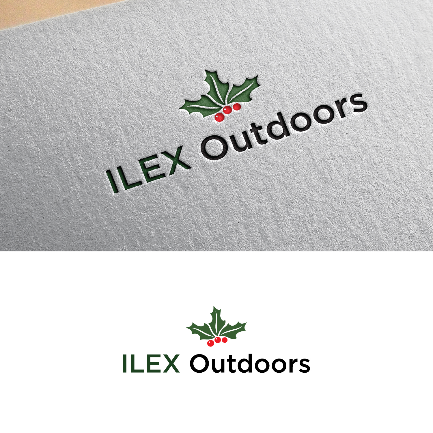 Design de Logo par fajar hasim pour ce projet | Design #21040249