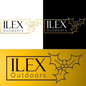 Logo Design by Almasi Creatives