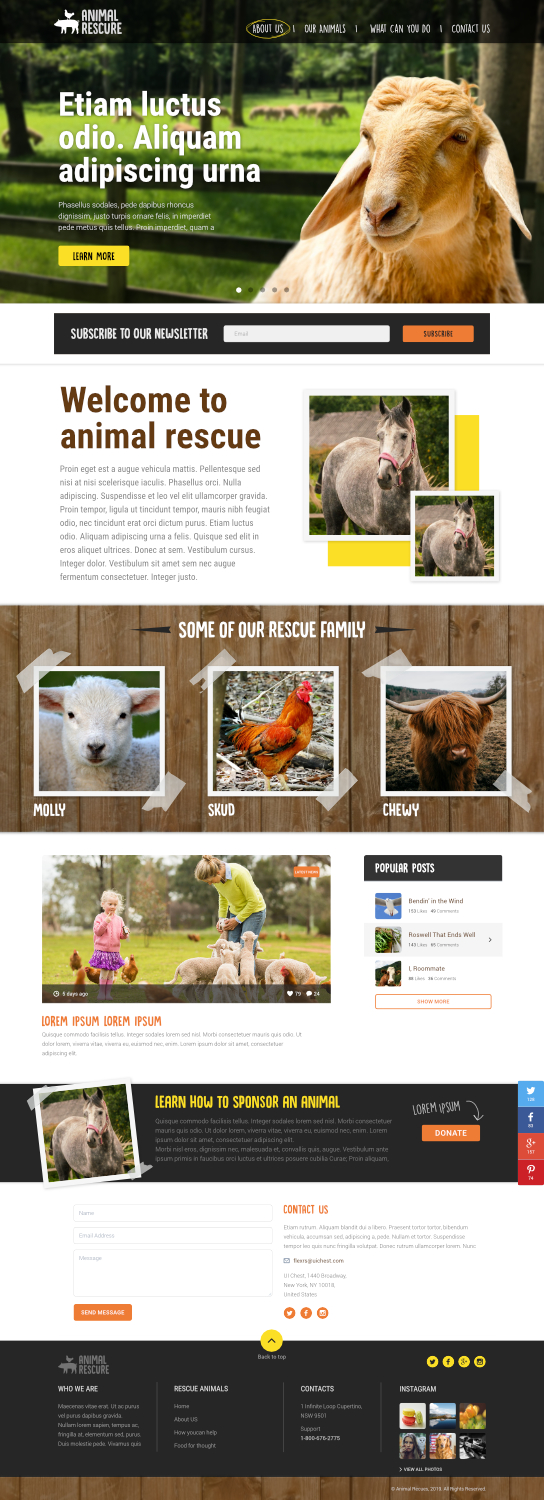 Web Design by Amy84 for Francis Walsh | Design #21040612