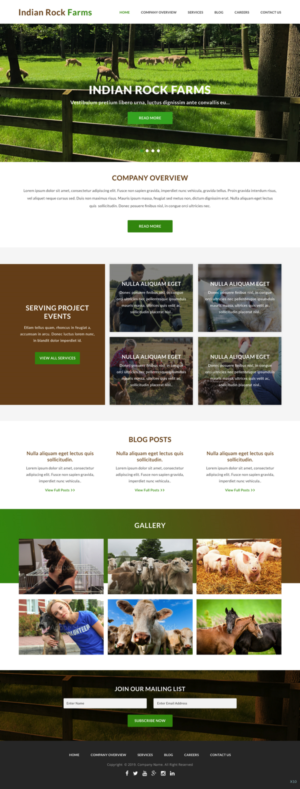 Web Design by pb for Francis Walsh | Design: #21003358