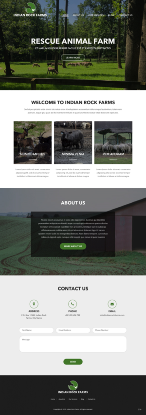 Web Design by pb for Francis Walsh | Design: #21011779