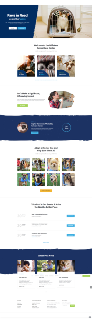 Web Design by farins88 for Francis Walsh | Design: #21044989