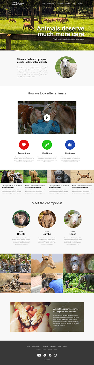 Web Design by webdc for Francis Walsh | Design #21053645