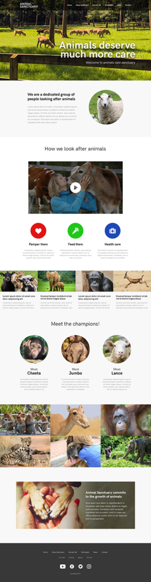 Web Design by webdc for Francis Walsh | Design #21053645