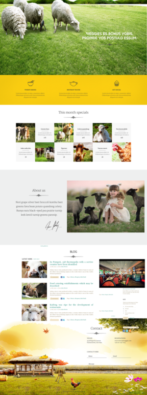 Web Design by Grebowiec Peter