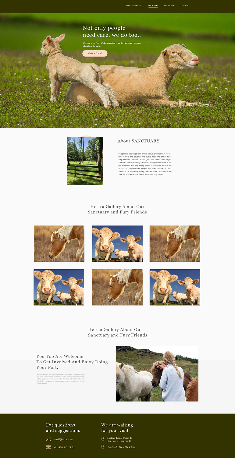 Web Design by The Seventh Key Magic for Francis Walsh | Design #21043614